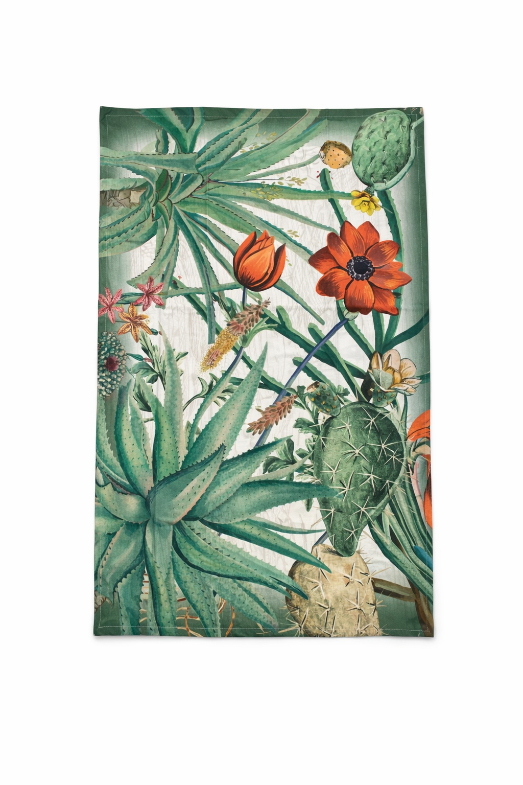 COPPIA STROFINACCI 50X70 IN COTONE FANTASIA CACTUS